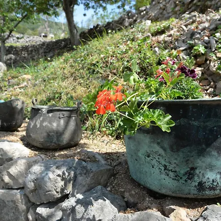 With Parking Space - 7876